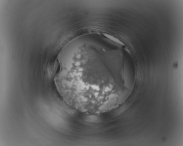 X0000114170285200910221658