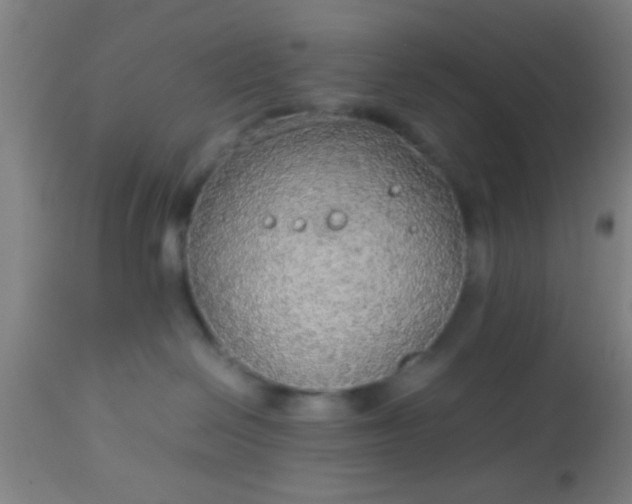 X0000114170286200910221658