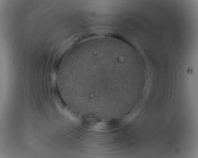 X0000114170288200910221658