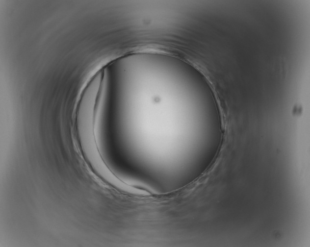 X0000114170289200910221657