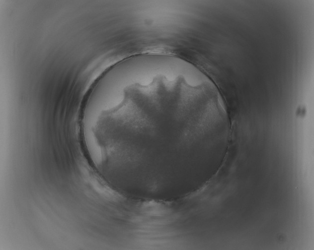 X0000114170290200910221657