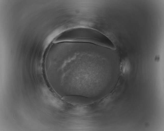 X0000114170292200910221657