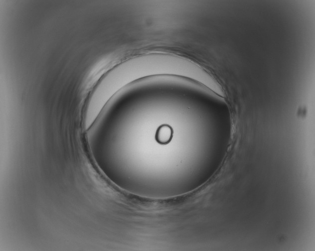 X0000114170293200910221657