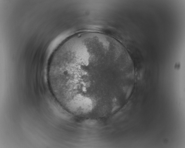 X0000114170294200910221657