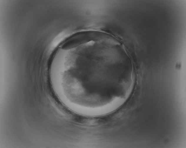 X0000114170295200910221657