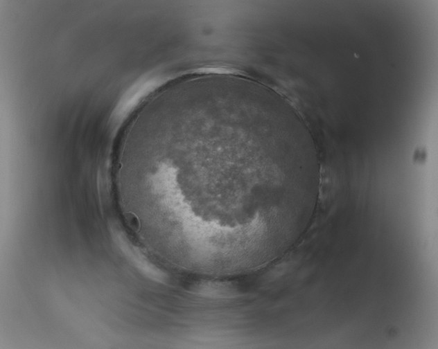 X0000114170296200910221657