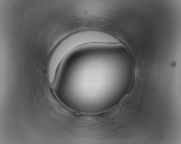 X0000114170297200910221657