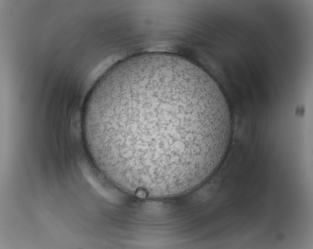 X0000114170298200910221657