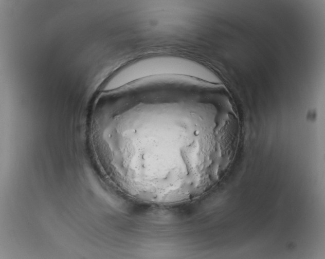 X0000114170299200910221657