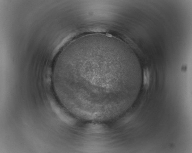 X0000114170300200910221657