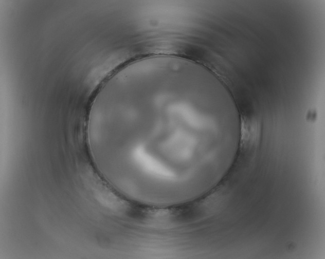 X0000114170301200910221657