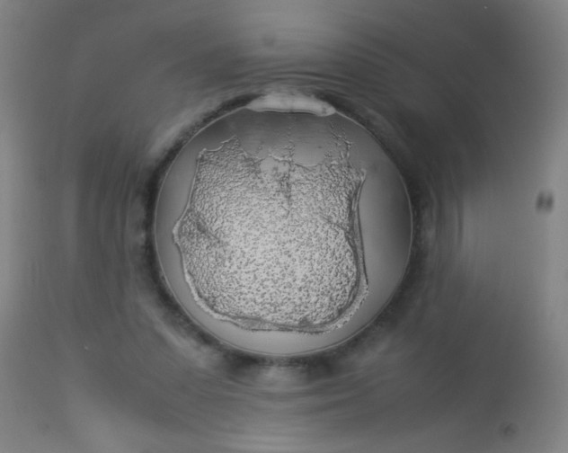 X0000114170303200910221657