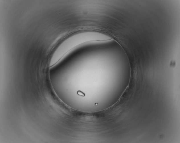 X0000114170304200910221657