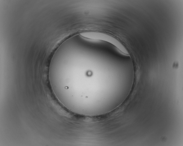 X0000114170305200910221657