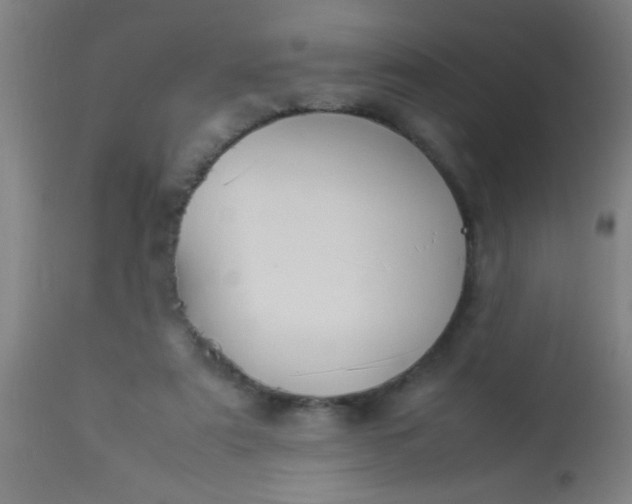 X0000114170307200910221657