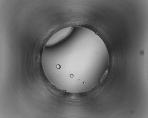 X0000114170308200910221657