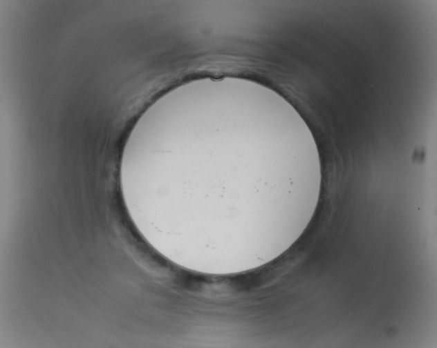 X0000114170309200910221657