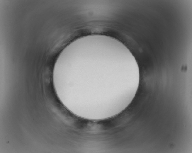 X0000114170311200910221657