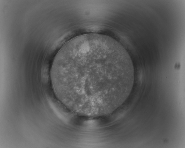 X0000114170312200910221657