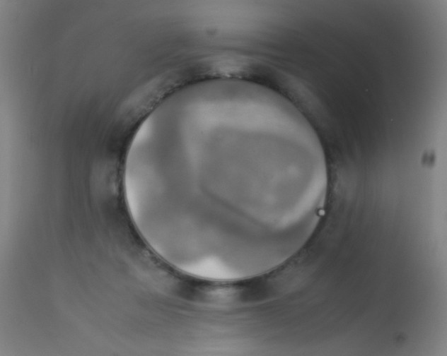 X0000114170313200910221657