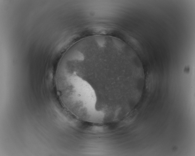 X0000114170314200910221657