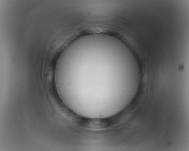 X0000114170315200910221657