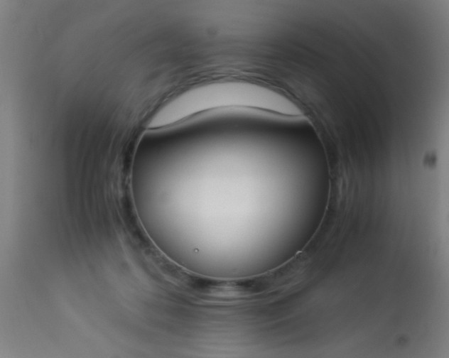 X0000114170316200910221657