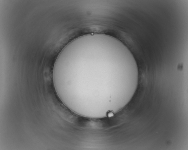 X0000114170317200910221657