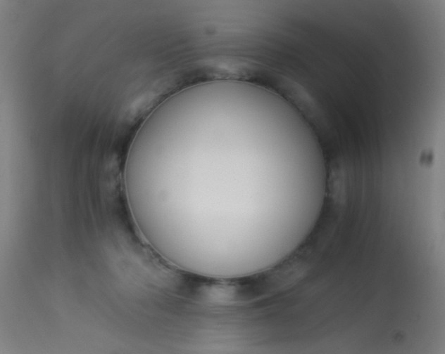 X0000114170318200910221657