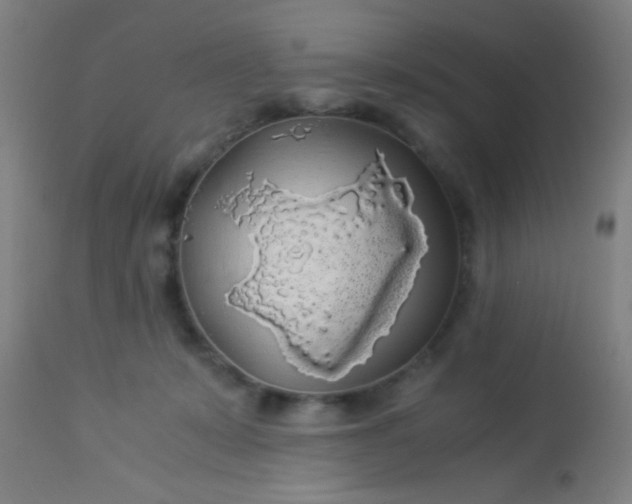 X0000114170319200910221657