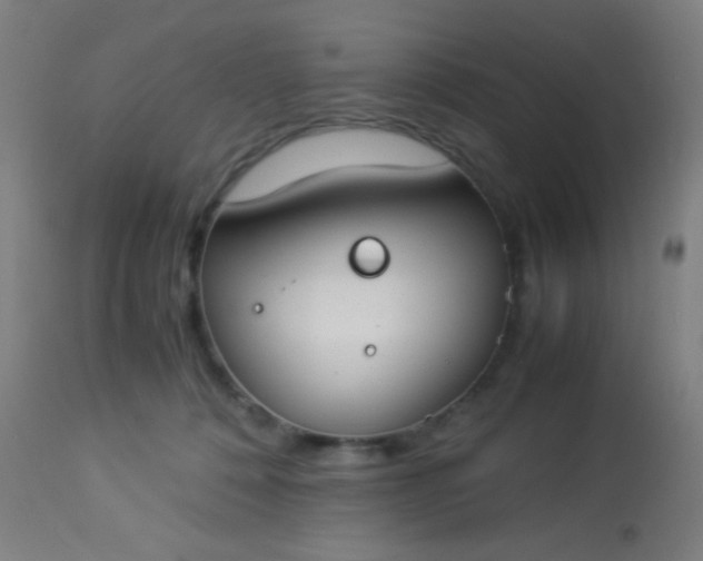 X0000114170320200910221657