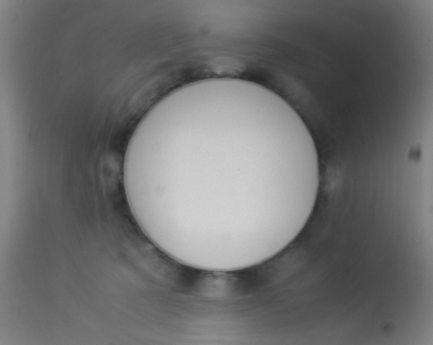 X0000114170321200910221657