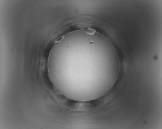 X0000114170323200910221657