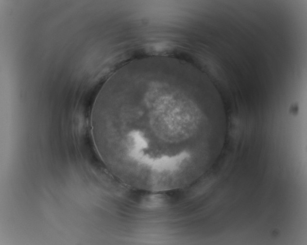 X0000114170324200910221657