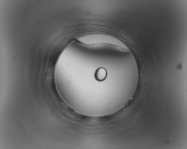 X0000114170325200910221657