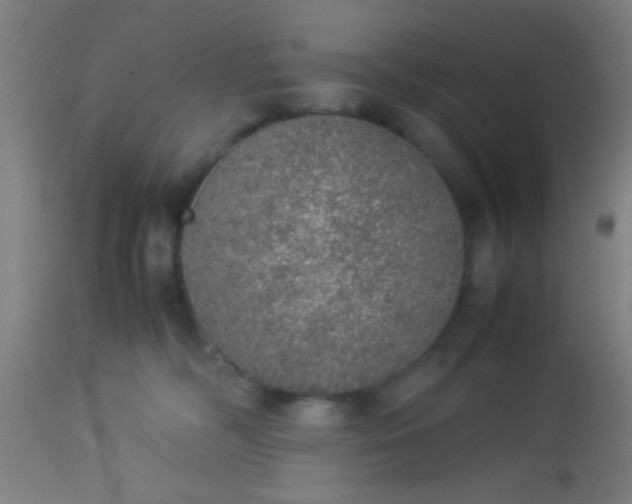 X0000114170326200910221657