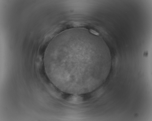 X0000114170327200910221657