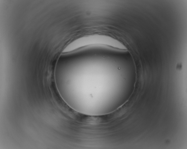 X0000114170328200910221656