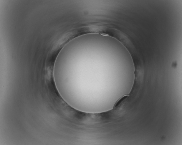 X0000114170329200910221656