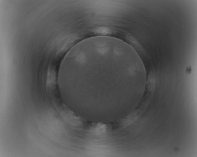 X0000114170330200910221656