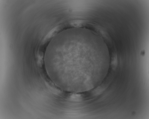 X0000114170332200910221656