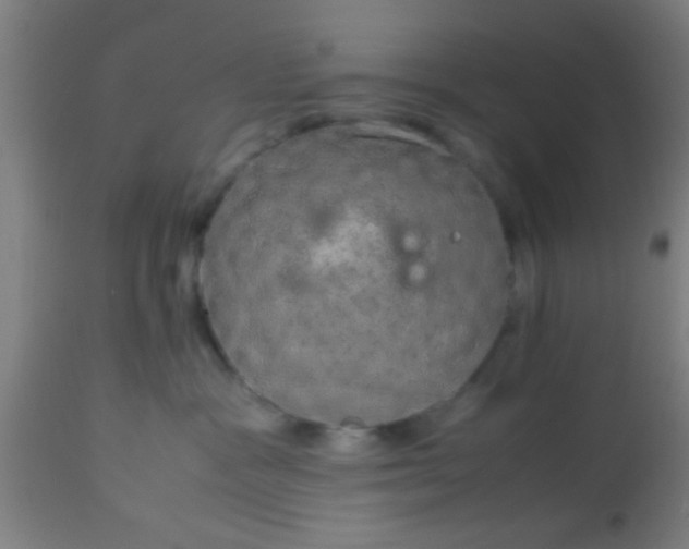 X0000114170333200910221656