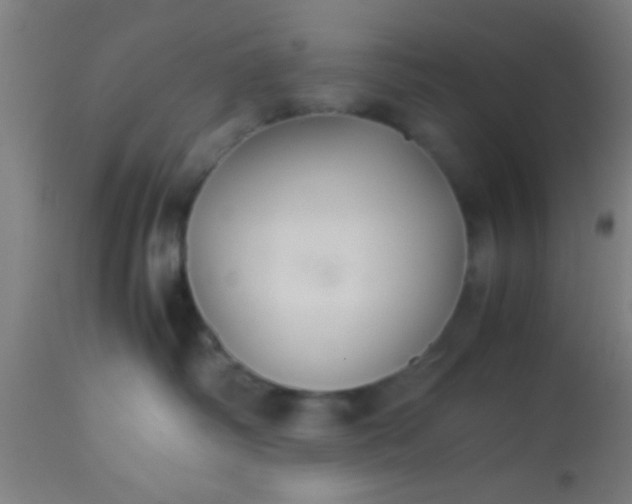 X0000114170334200910221656