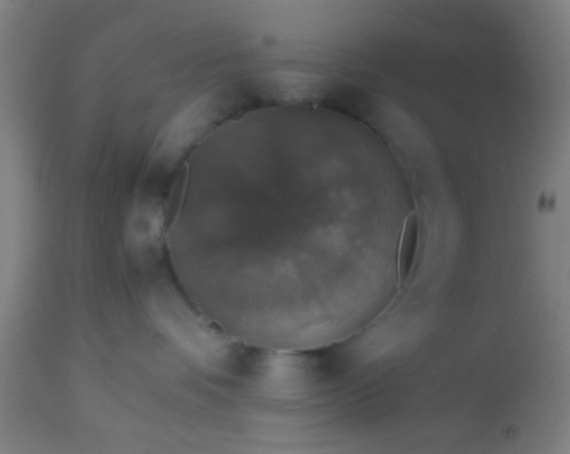 X0000114170336200910221656