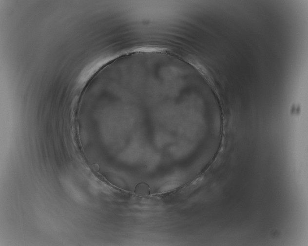 X0000114170337200910221656