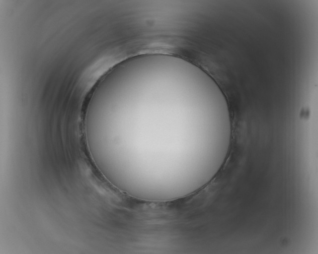 X0000114170338200910221656