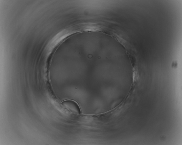 X0000114170339200910221656