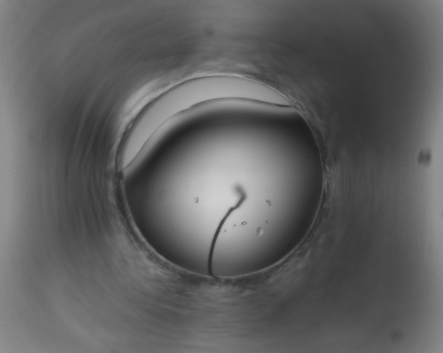 X0000114170340200910221656