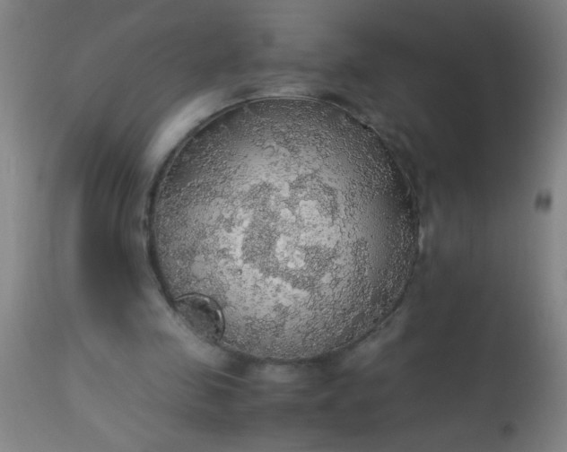 X0000114170341200910221656