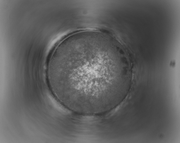 X0000114170342200910221656